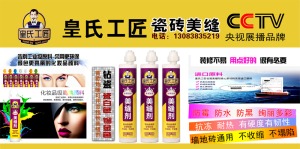 公司介绍