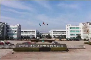 公司介绍